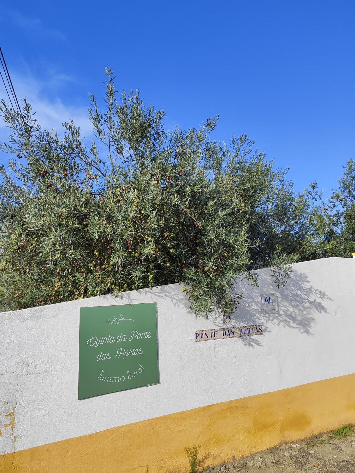 Quinta Da Ponte Das Hortas 2 엘바스 외부 사진